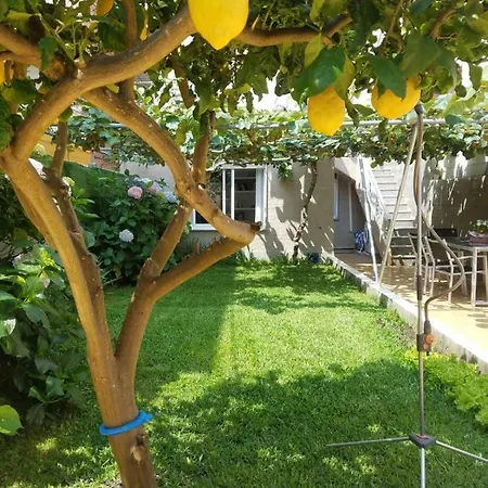 Piso Céntrico Rias Baixas Apartamento O Grove